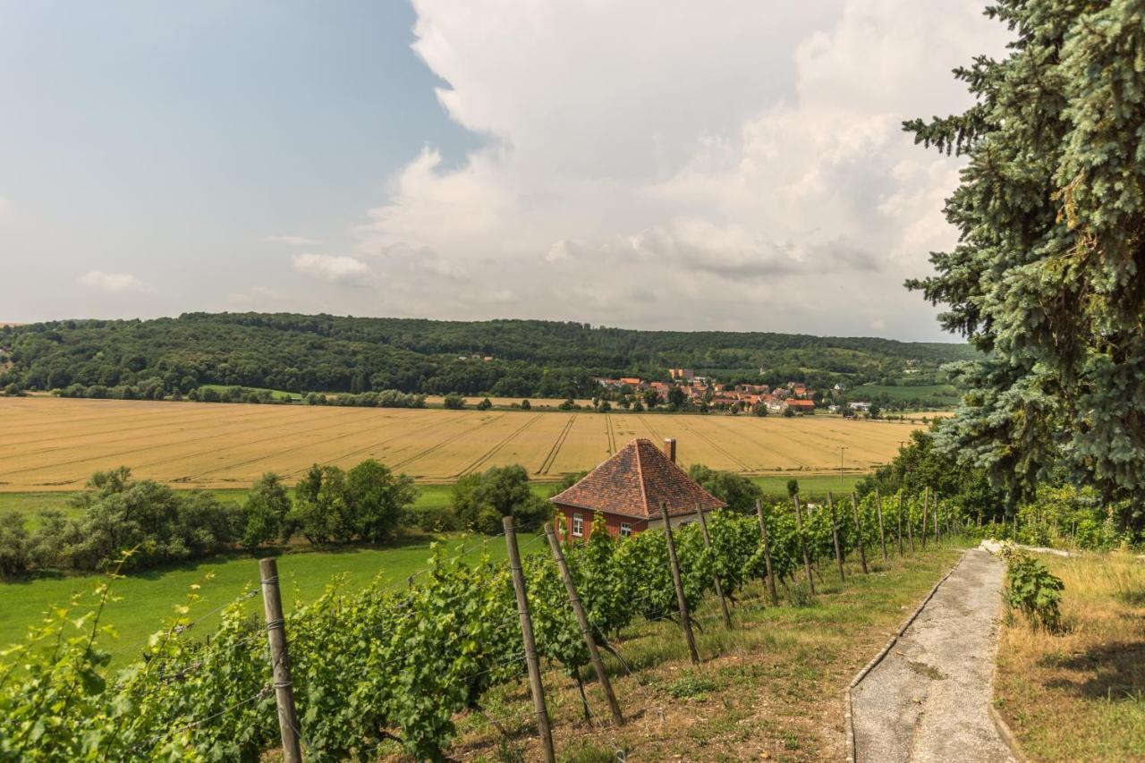 Ferienhaeuser Im Max-klinger Weinberg * Naumburg (Saale)
